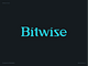Bitwise – Wordmark branding design fintech graphic design identity logo marketing typography vector wordmark